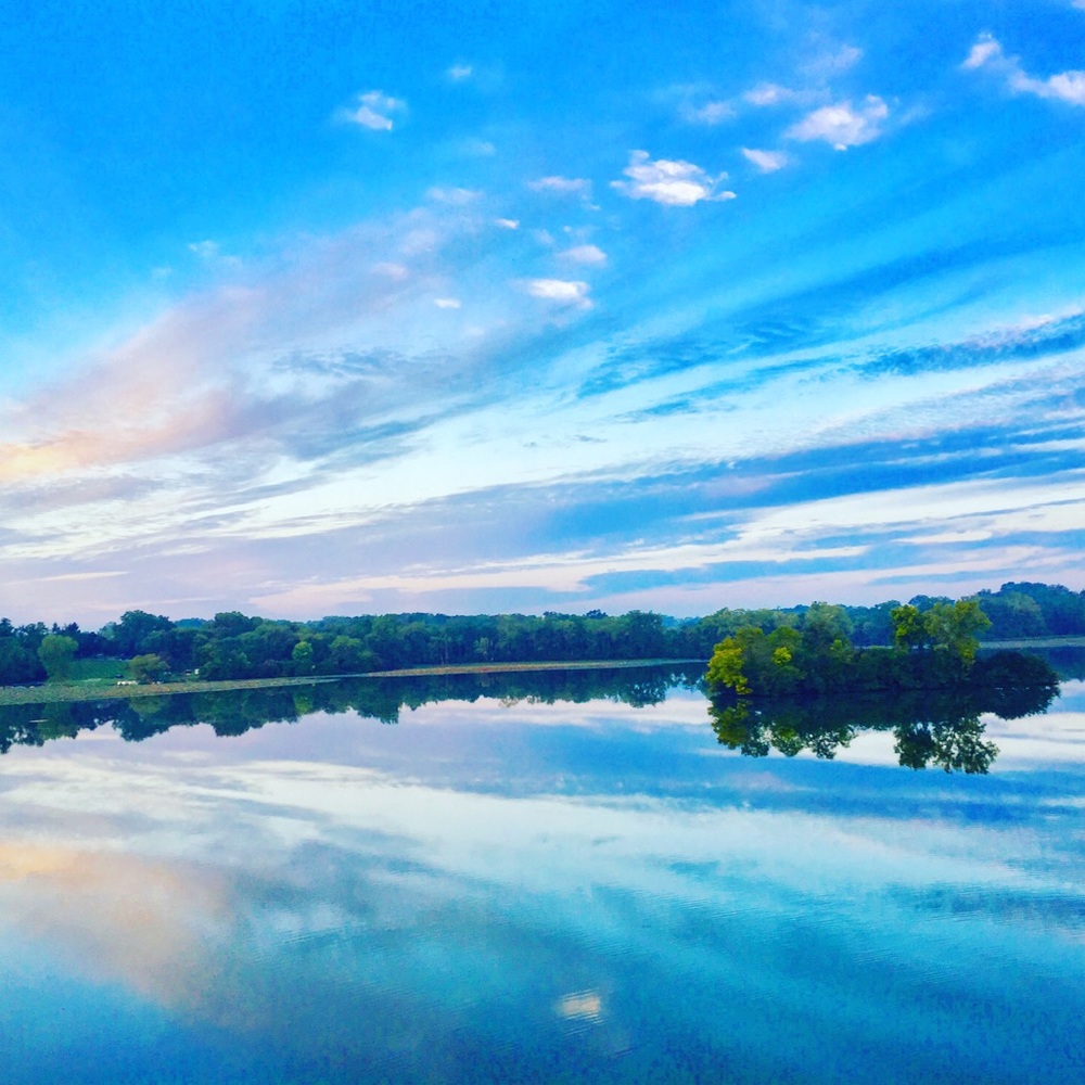 Meet your Posher, Lisa - Picture 8 of 8